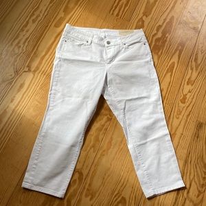 White loft curvy crop